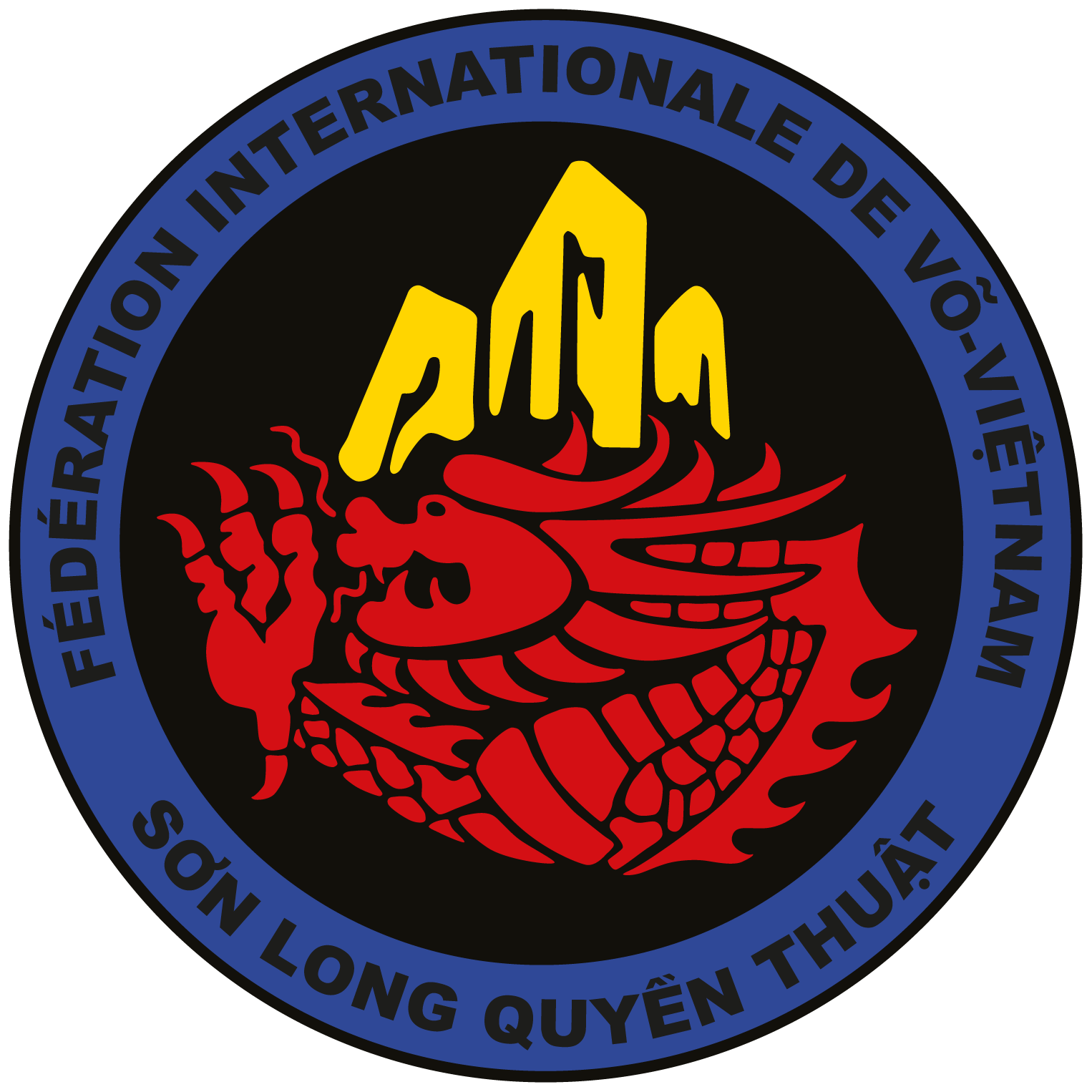 Võ-Viêtnam logo